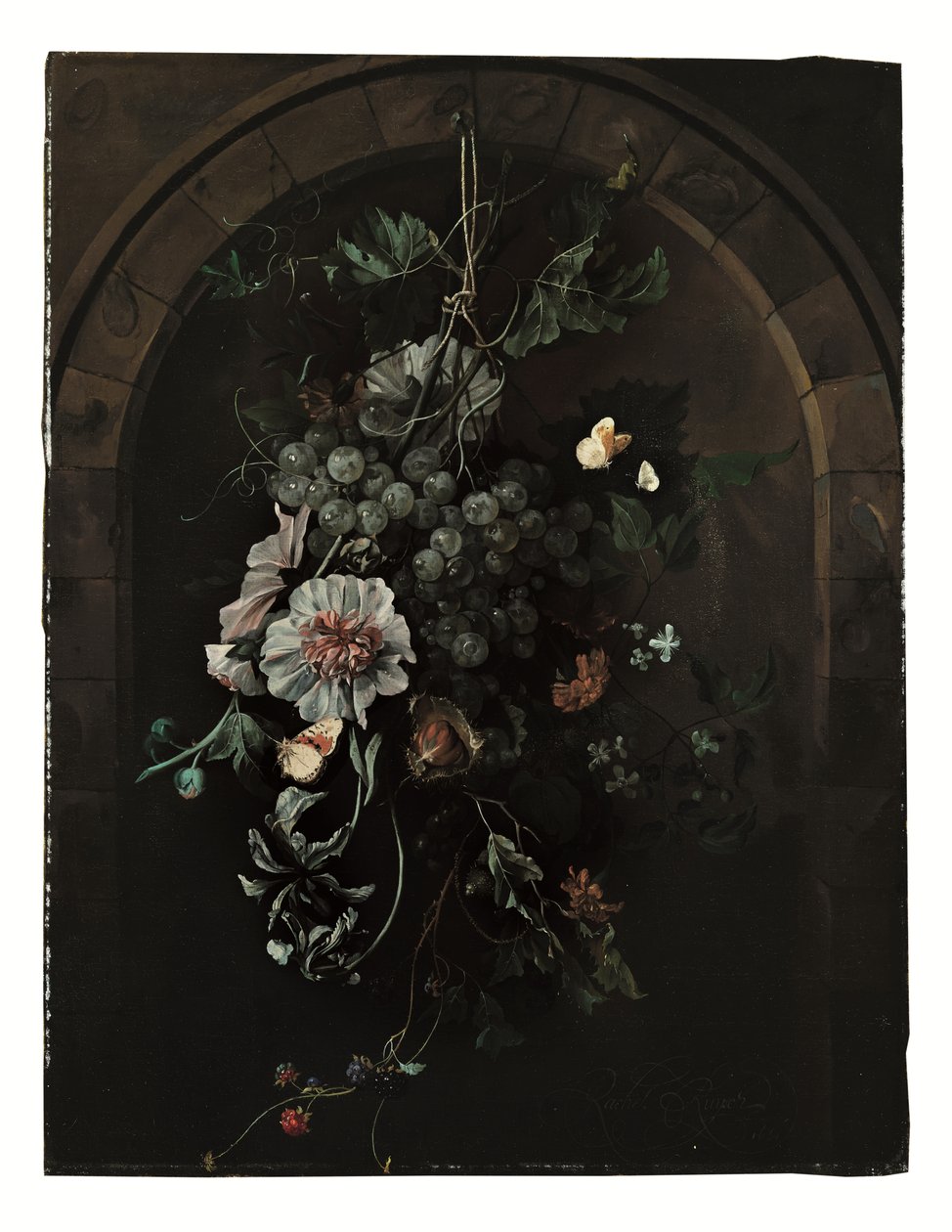 Een Slinger van Druiven, Stokrozen, Irissen, Kaasjeskruid, Afrikaanse Goudsbloemen, Clematis, een Paardenkastanje en Bramen met Vlinders en andere Insecten voor een Stenen Boog door Rachel Ruysch