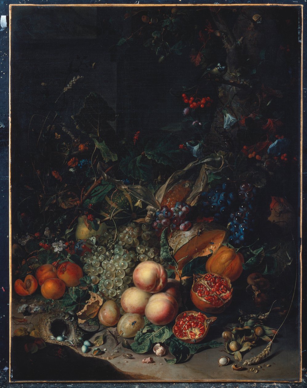 Perziken, Druiven, Granaatappels, Meloenen, een Maïskolf, Abrikozen, Pruimen, Peren, Eikels door Rachel Ruysch