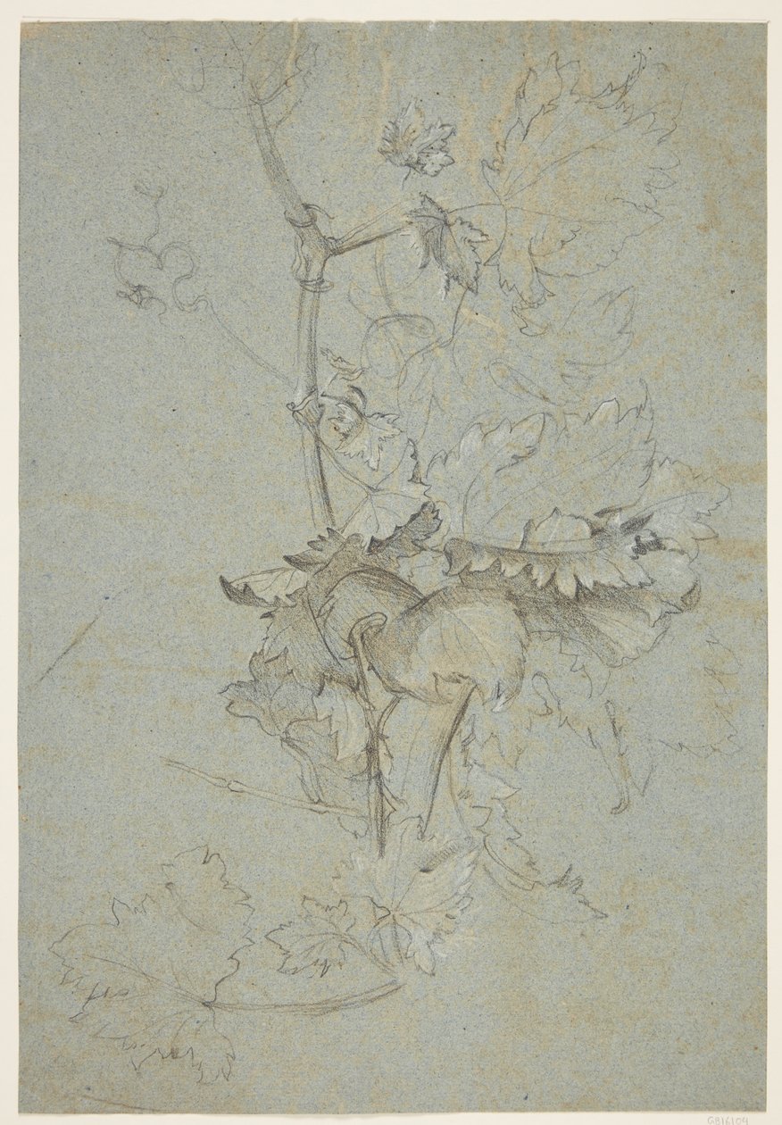 Plantenstudie door Rachel Ruysch