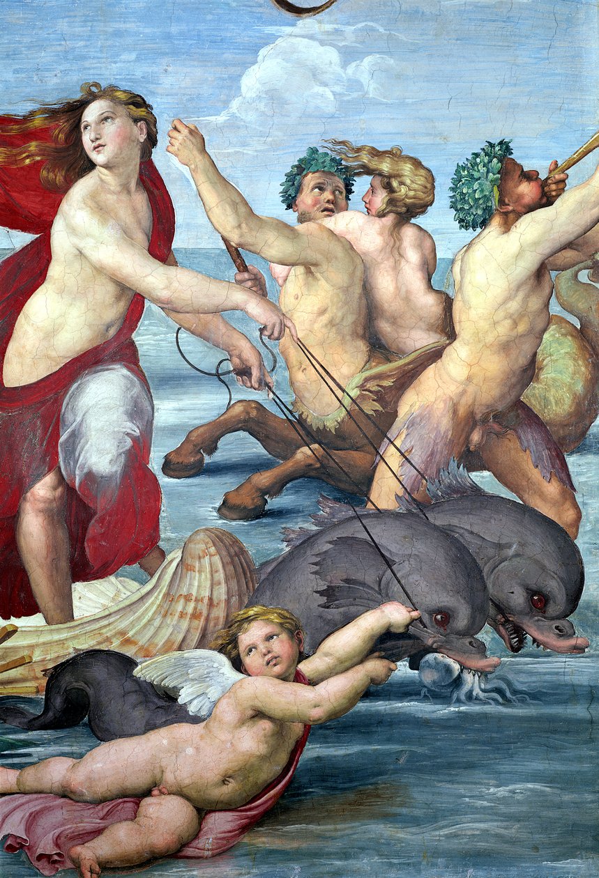 Galatea (detail) door Raffaello Sanzio Raphael