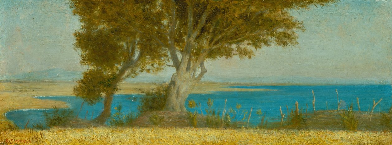 Marina di Castiglioncello door Raffaello Sernesi