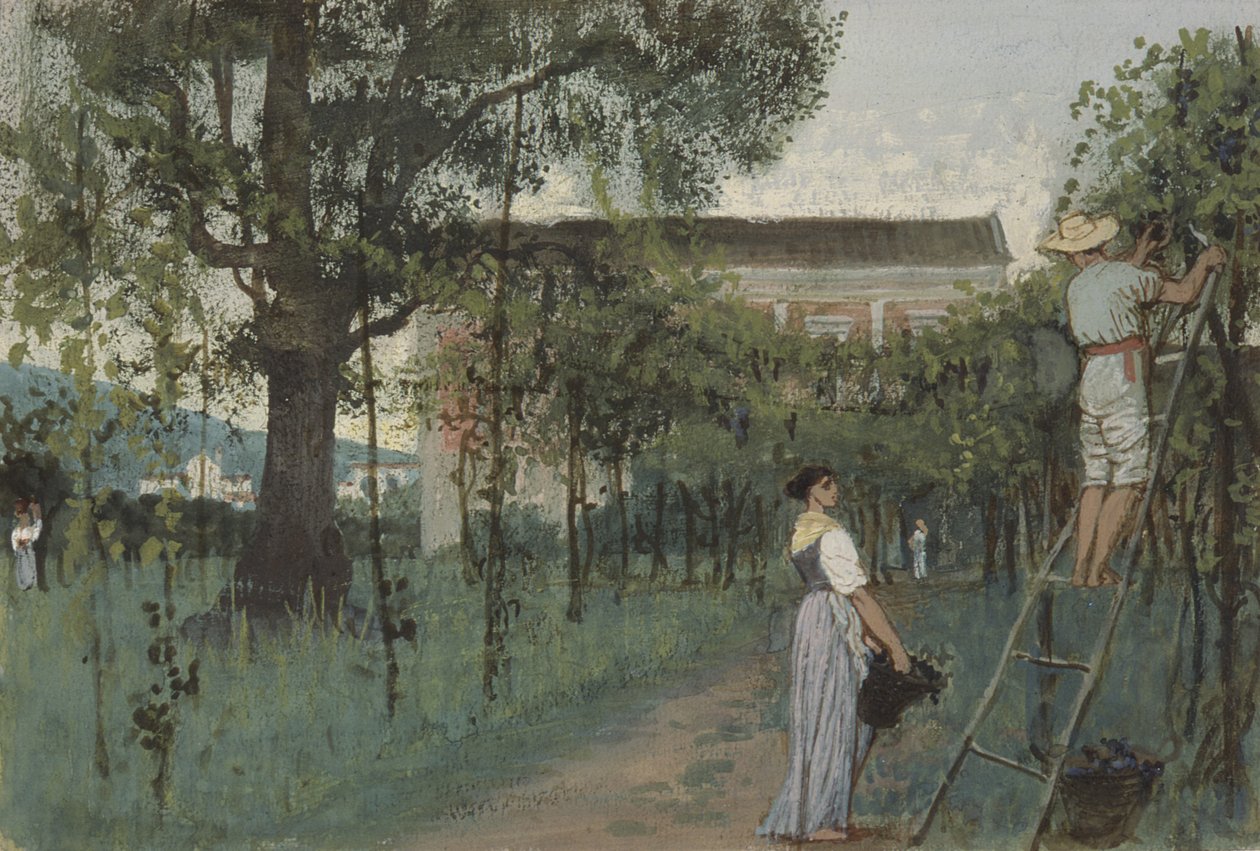 Druiven plukken door Randolph Caldecott