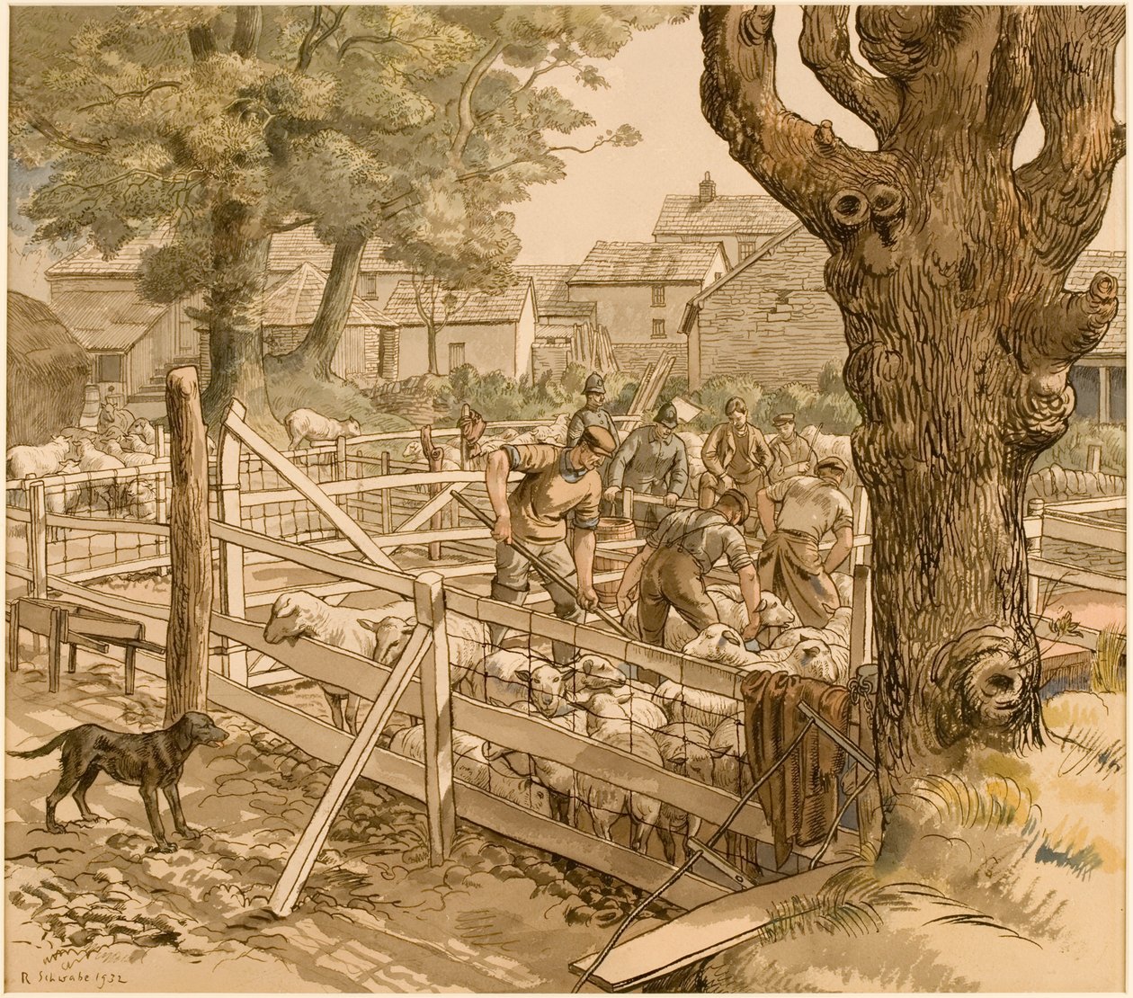 Schapen dopen, Cornwall door Randolph Schwabe