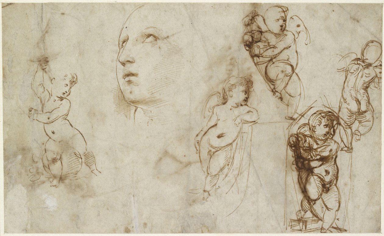 Een vrouwenhoofd voor Borghese-Beckford St. Catherine en verschillende putti, WA1846.177 door Raffaello Sanzio Raphael