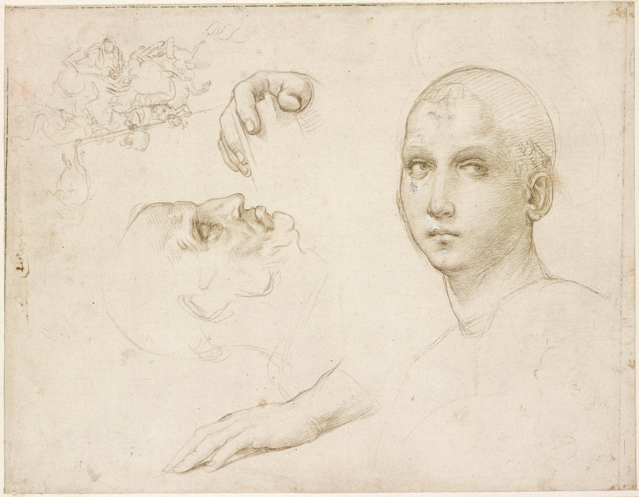 Studies voor de Drie-eenheid van San Severo en schetsen na Leonardo door Raffaello Sanzio Raphael