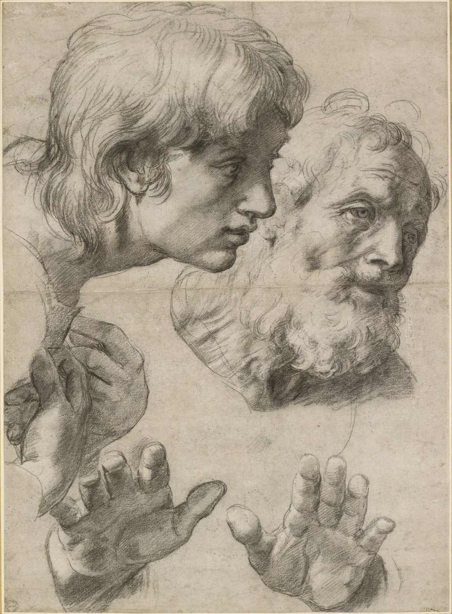 Studies van de hoofden van twee apostelen en hun handen, WA1846.209 door Raffaello Sanzio Raphael