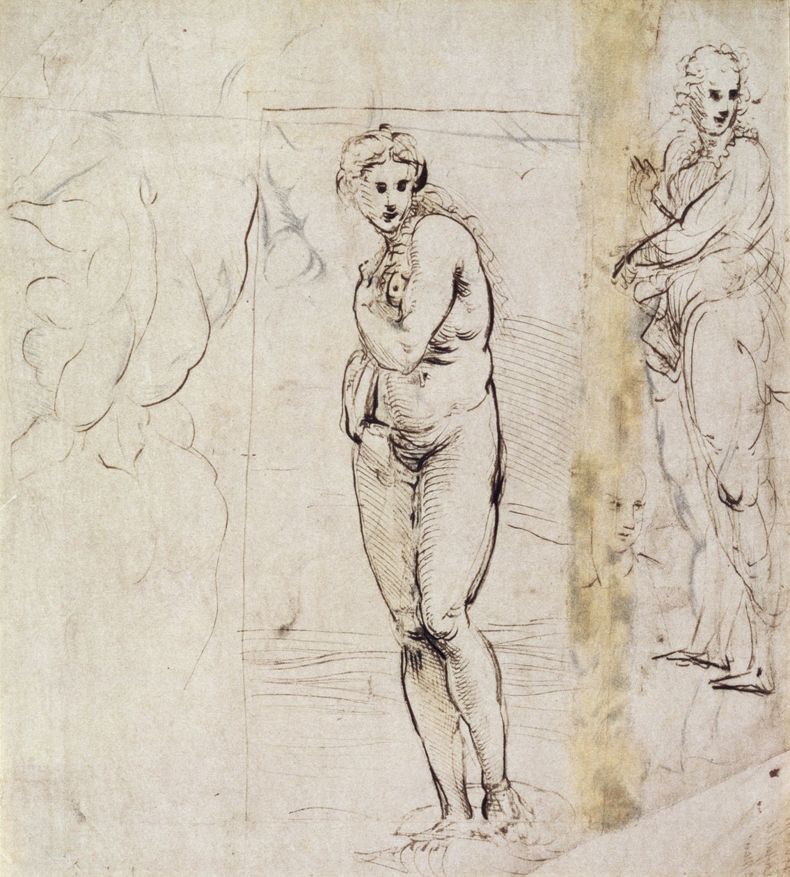 Studie van Venus door Raffaello Sanzio Raphael