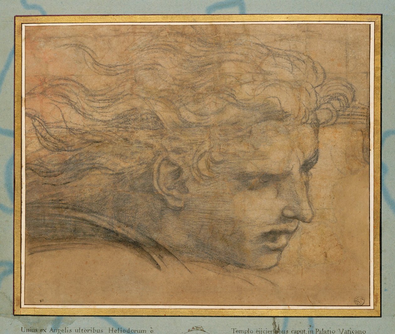 Hoofd van een jonge man, driekwart naar rechts ... door Raphael (1483 1520)