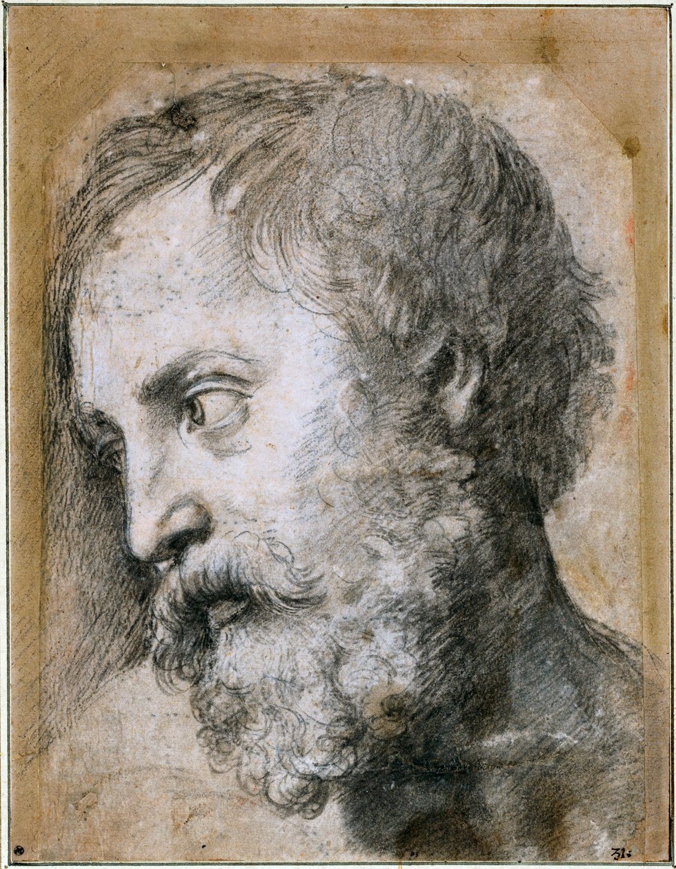 Hoofd van een Apostel Studie voor Transfiguratie door Raffaello Sanzio Raphael