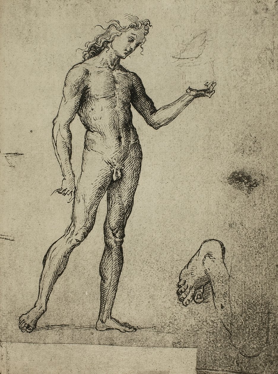 Mannelijk naaktstudie; tekening door Raphael door Raffaello Sanzio Raphael