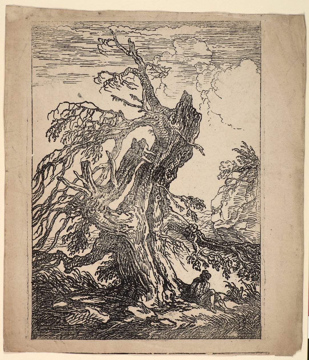 Studie van een boom door Raphael Lamar West