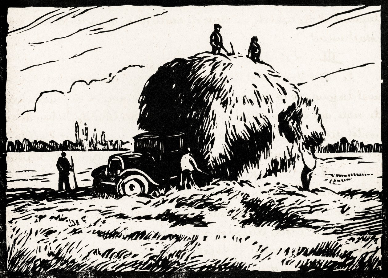 hooi collectie (linoleumsnede) door Raymond Bonnefon