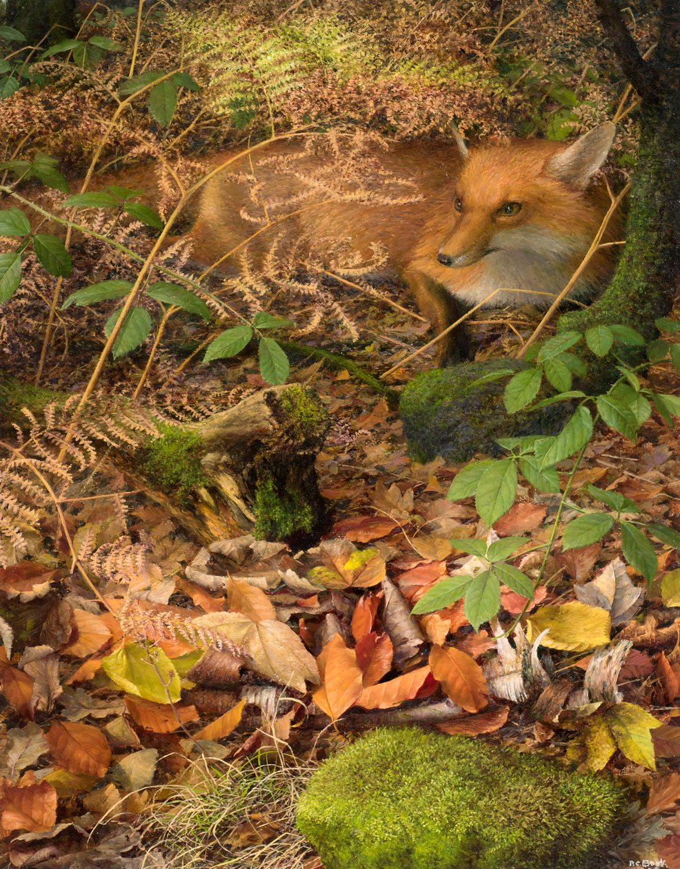 Herfst: een vos rustend tussen de gevallen bladeren, 2005 (olieverf op board) door Raymond Booth