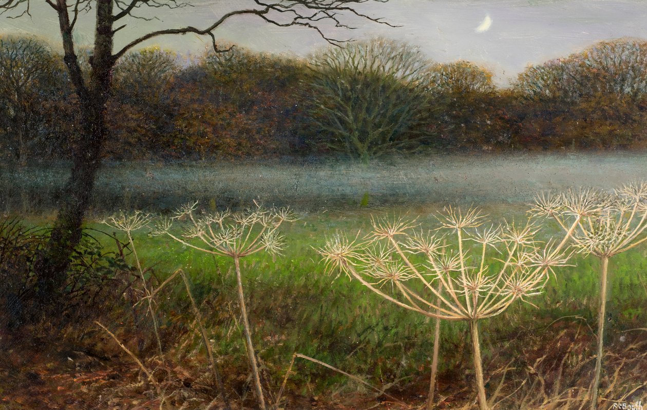 December bij schemering: mist over de velden (olieverf op board) door Raymond Booth