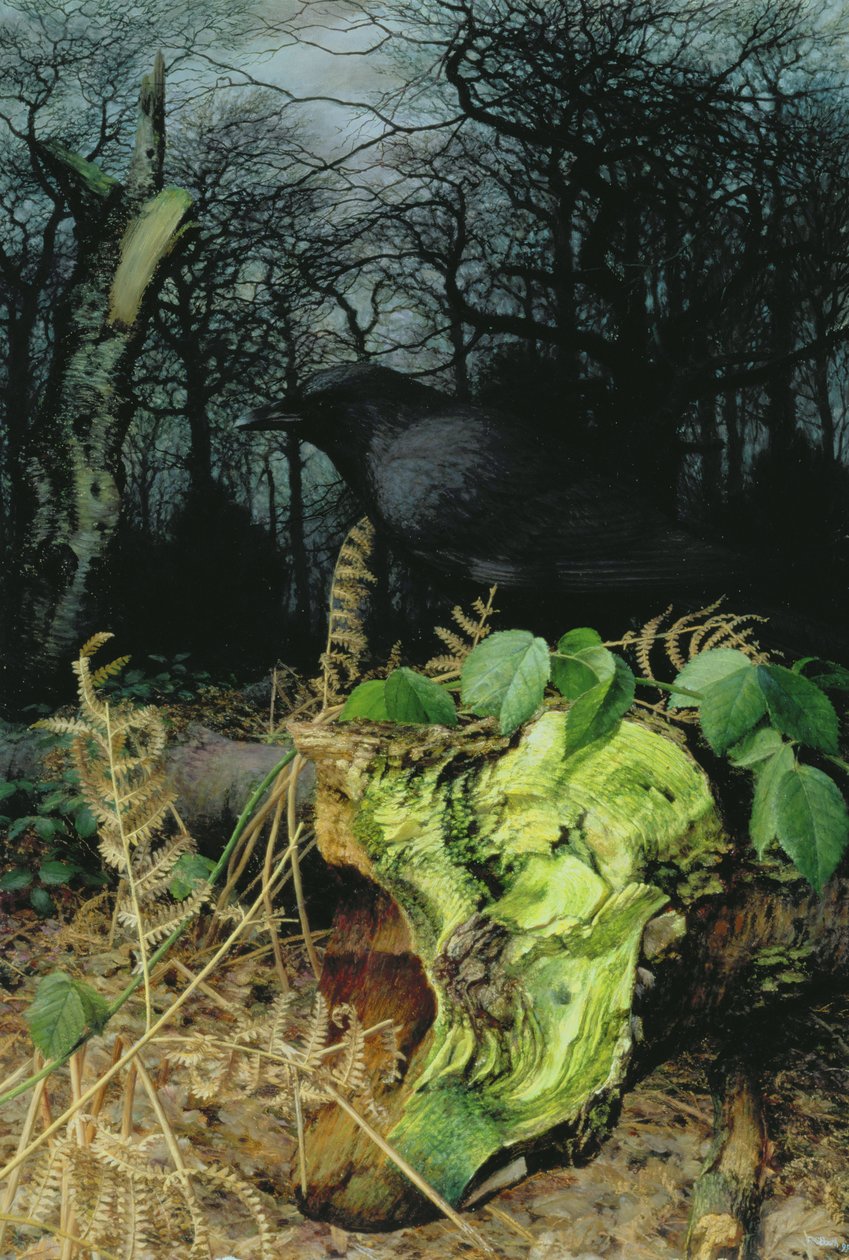 Midwinter in het bos door Raymond Booth