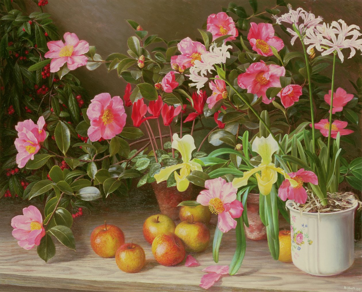 November Bloemen door Raymond Booth