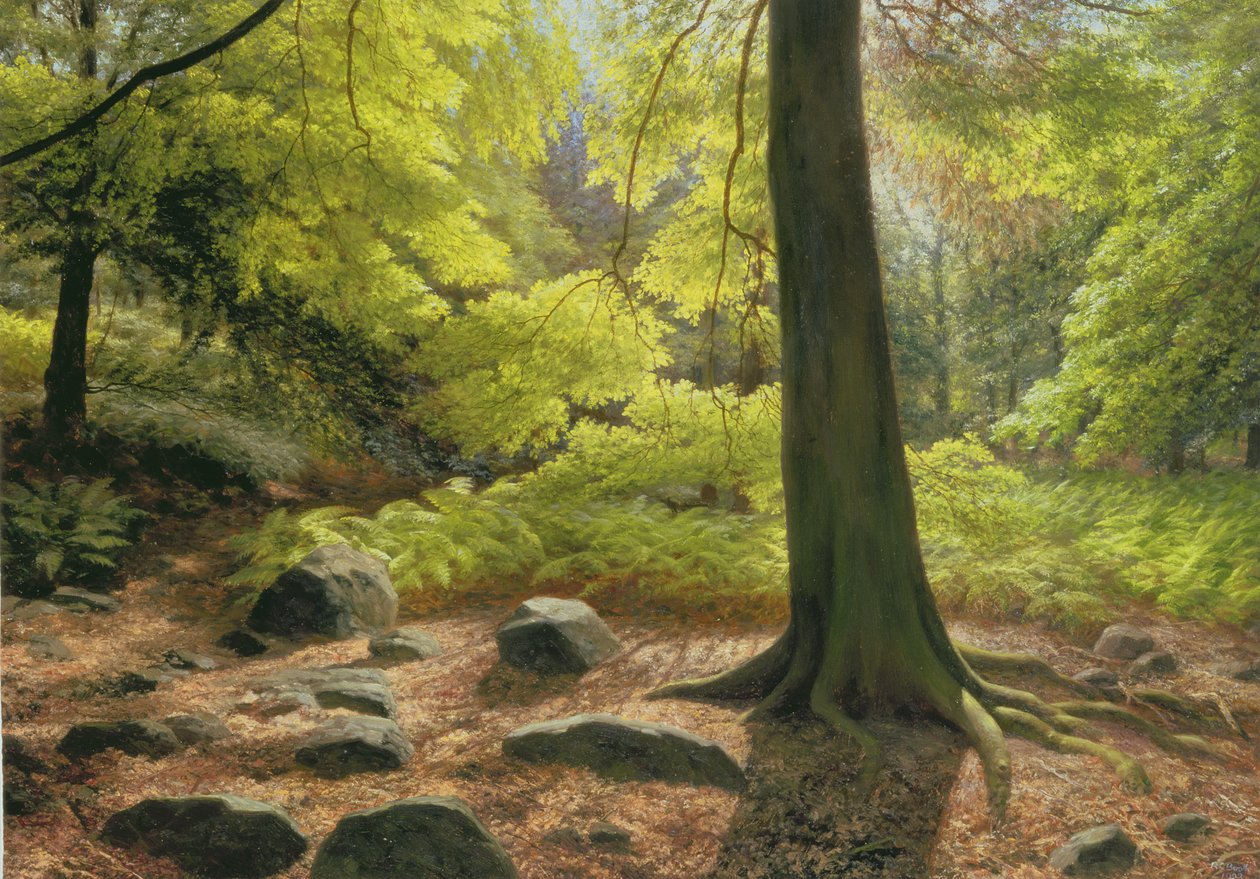 Voorjaarszon in Adel Woods door Raymond Booth