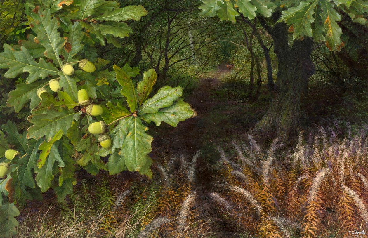 De weg naar het bos (olieverf op board) door Raymond Booth