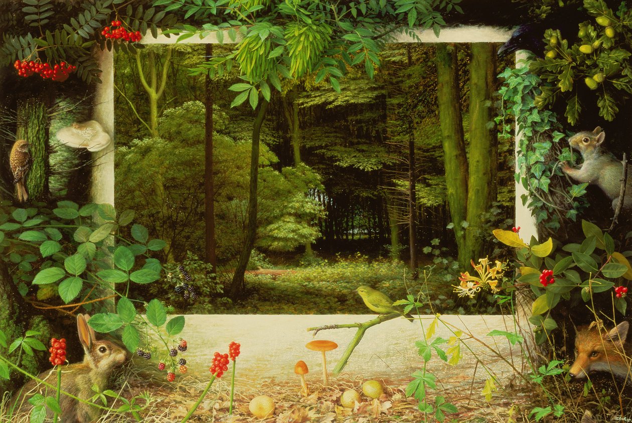 De ingang van het bos door Raymond Booth