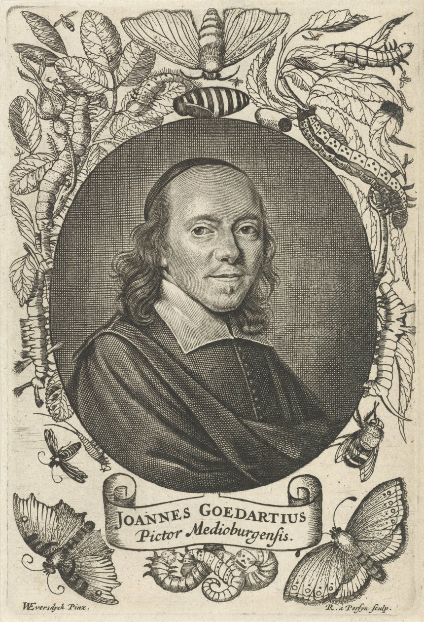 Johannes Goedaert (1617-1668) van Middelburg door Reinier van Persijn