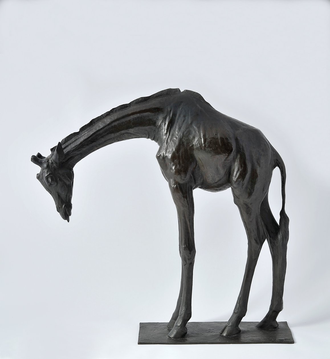 Grote Giraffe met Gebogen Hoofd, gemodelleerd 1909-10, gegoten voor 1913 door Rembrandt Bugatti