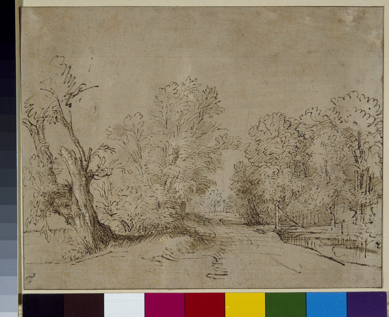 Een beboste weg, ca. 1650 door Rembrandt Harmensz. van Rijn