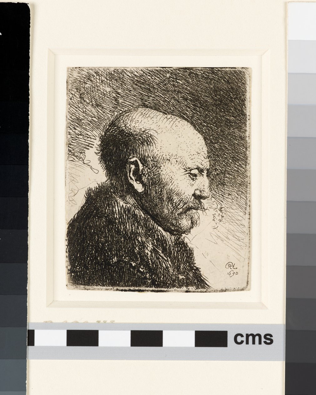 Kaalhoofdige man in profiel rechts: Rembrandts vader? door Rembrandt van Rijn