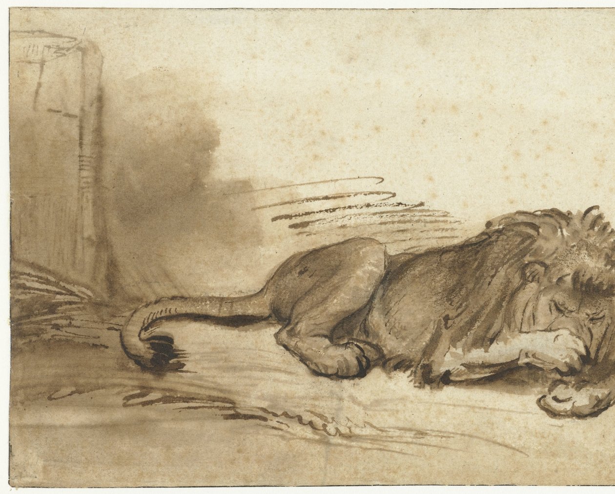 Liggende leeuw met zijn voorpoot over zijn snuit door Rembrandt van Rijn (school of)