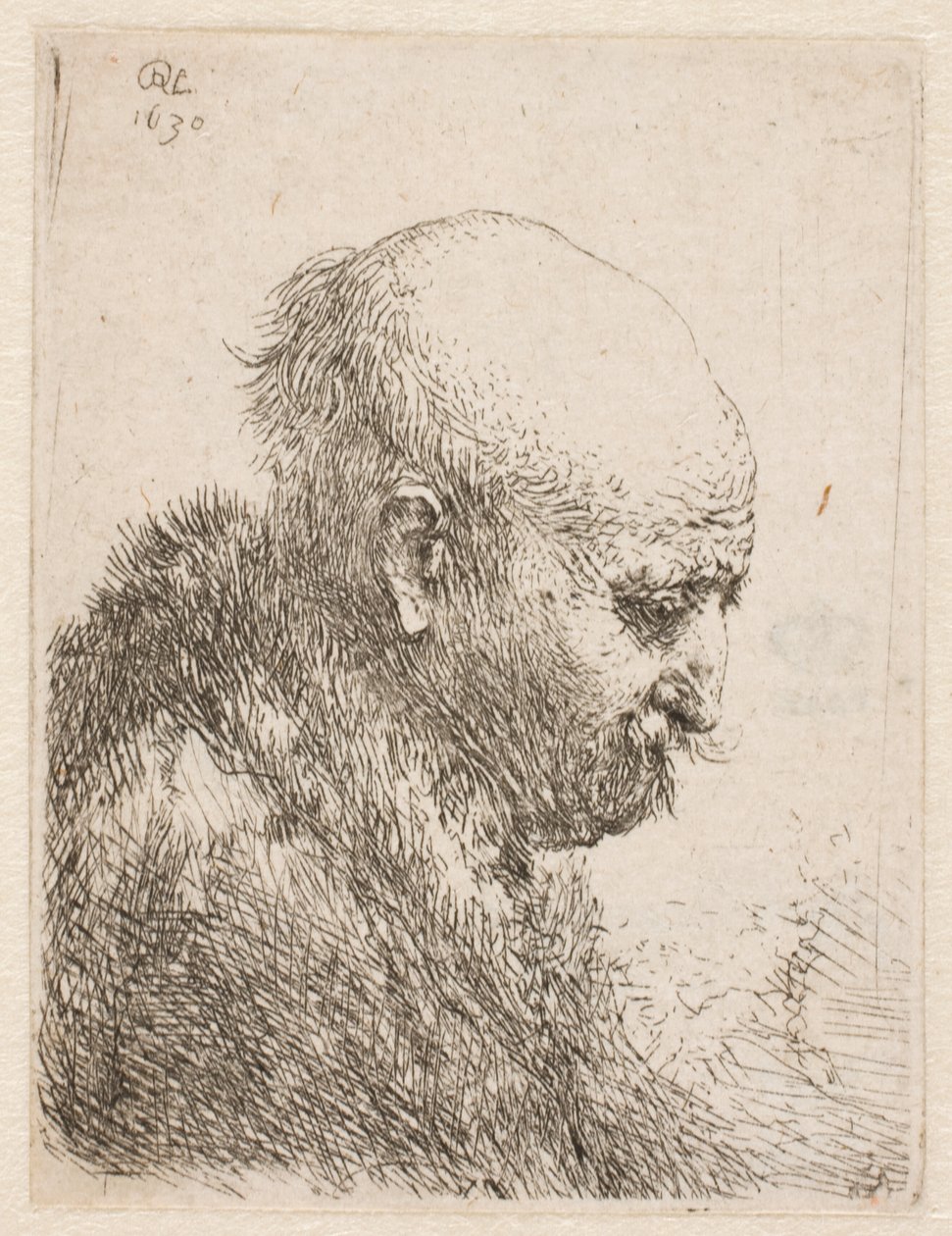 Kale man (Rembrandts vader) in profiel naar rechts; kleine buste door Rembrandt van Rijn