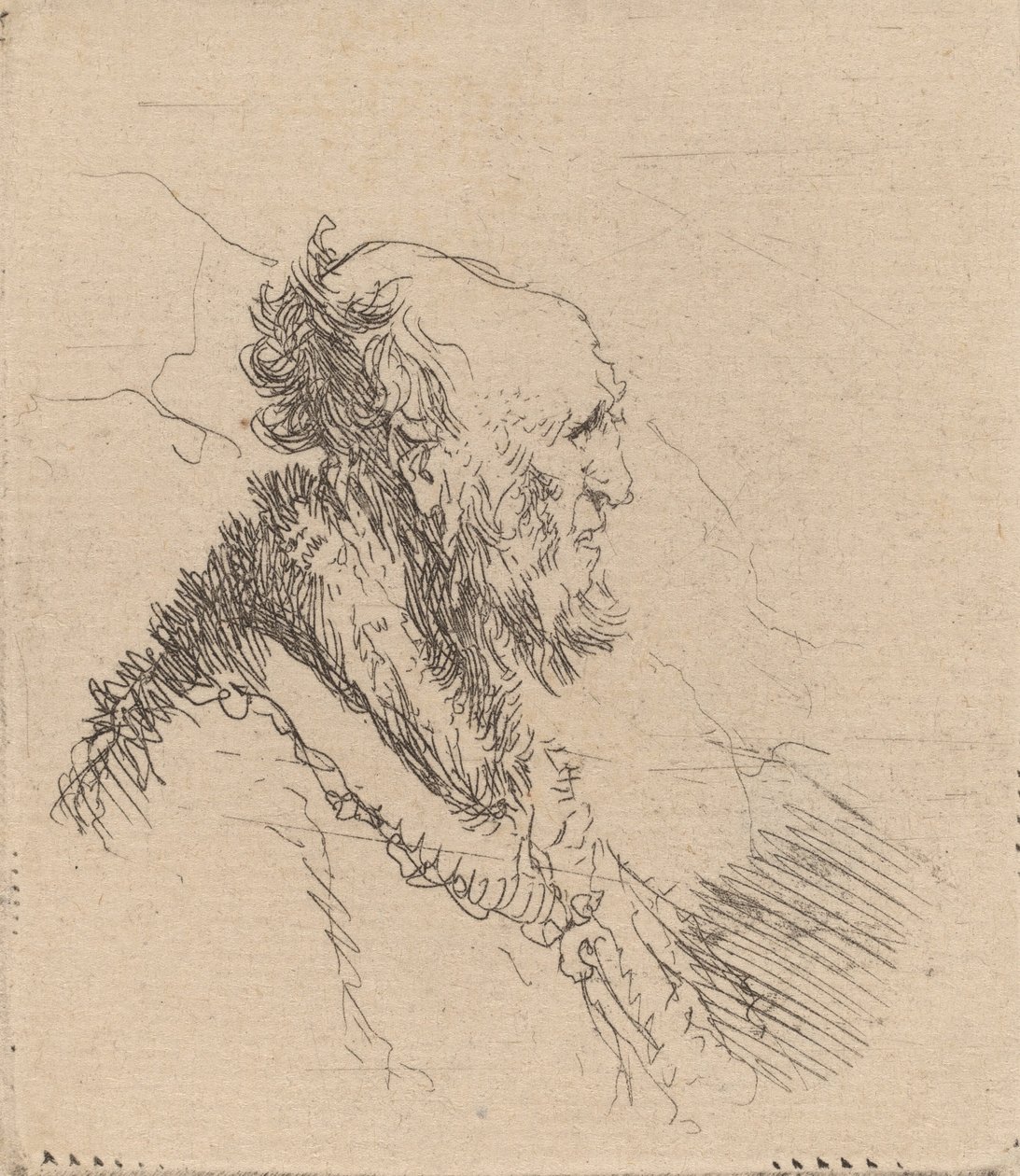 Kale oude man met een korte baard in profiel door Rembrandt van Rijn