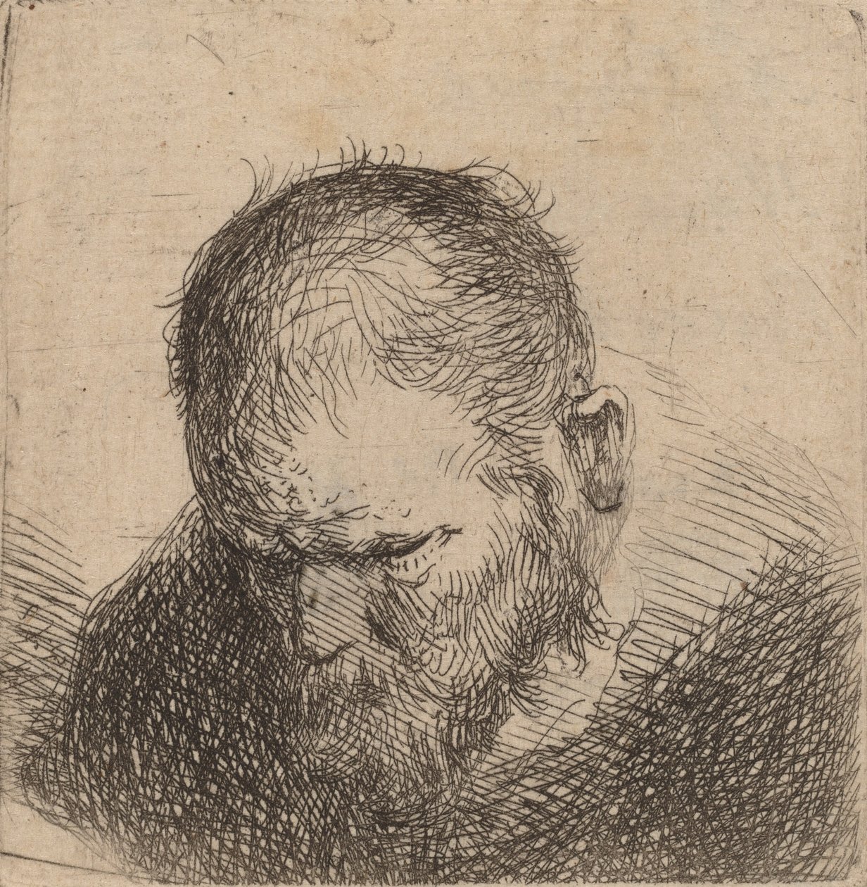 Bearded Man Looking Down, mogelijk 1631 door Rembrandt van Rijn