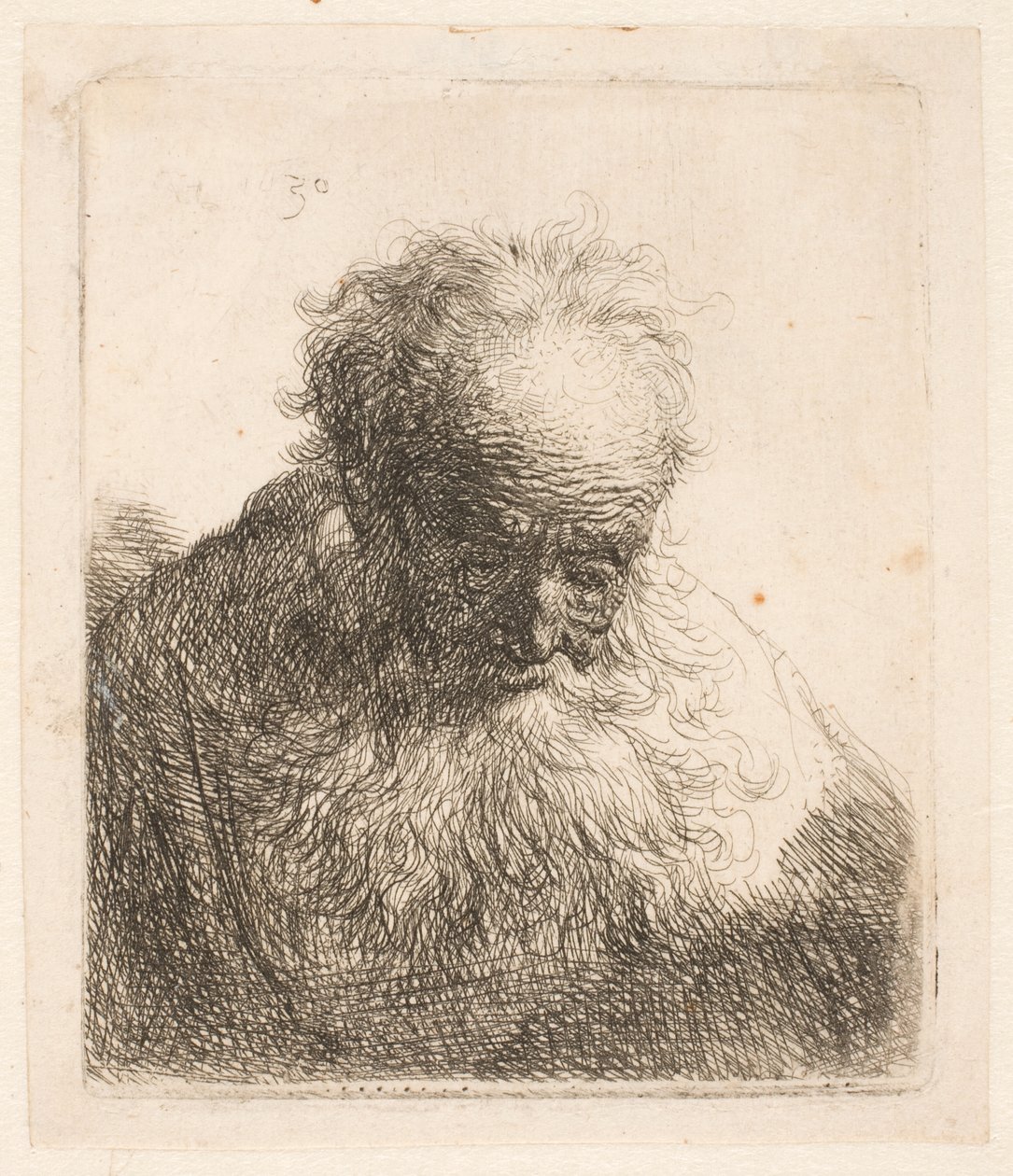 Buste van een oude man met een golvende baard: het hoofd naar voren gebogen: de linkerschouder niet gearceerd door Rembrandt van Rijn