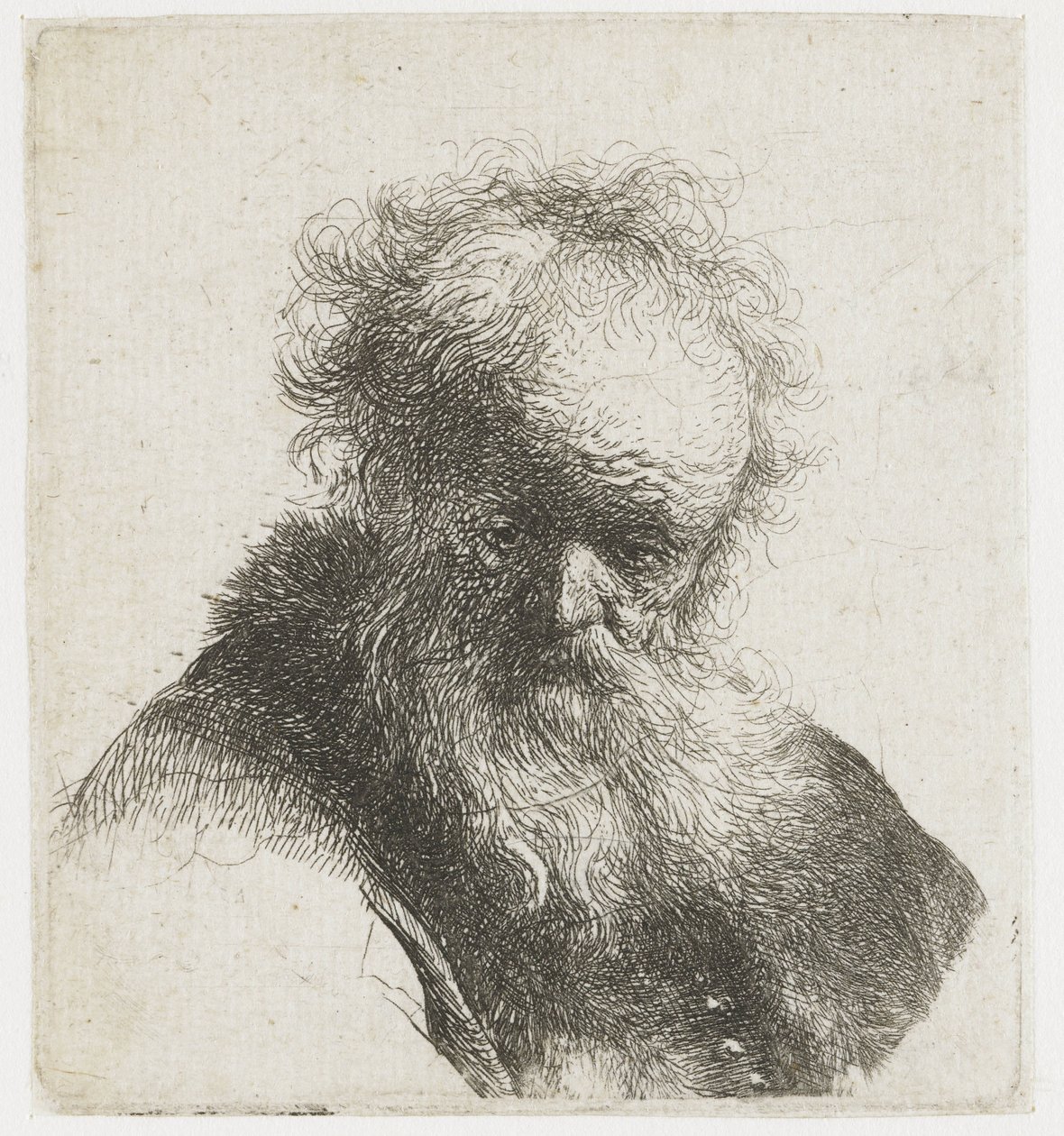 Buste van een oude man met vloeiende baard en witte mouw door Rembrandt van Rijn