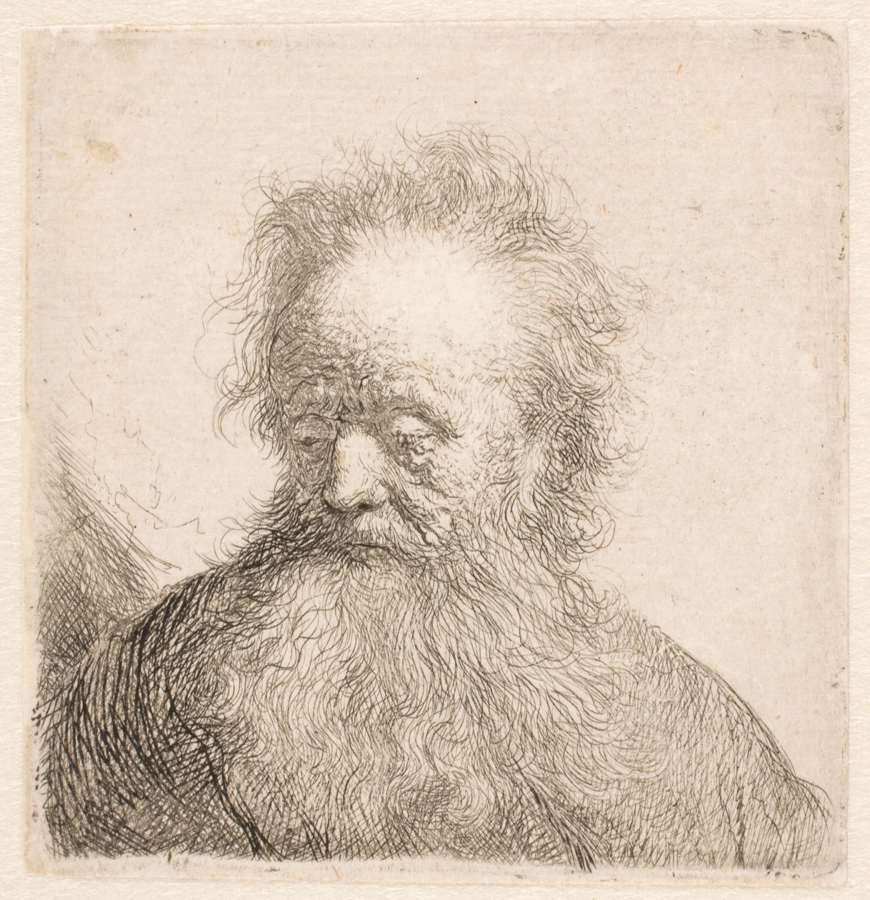 Buste van een oude man met een golvende baard: het hoofd staat bijna rechtop; de ogen zijn neergeslagen; de blik is lichtjes naar links gericht door Rembrandt van Rijn