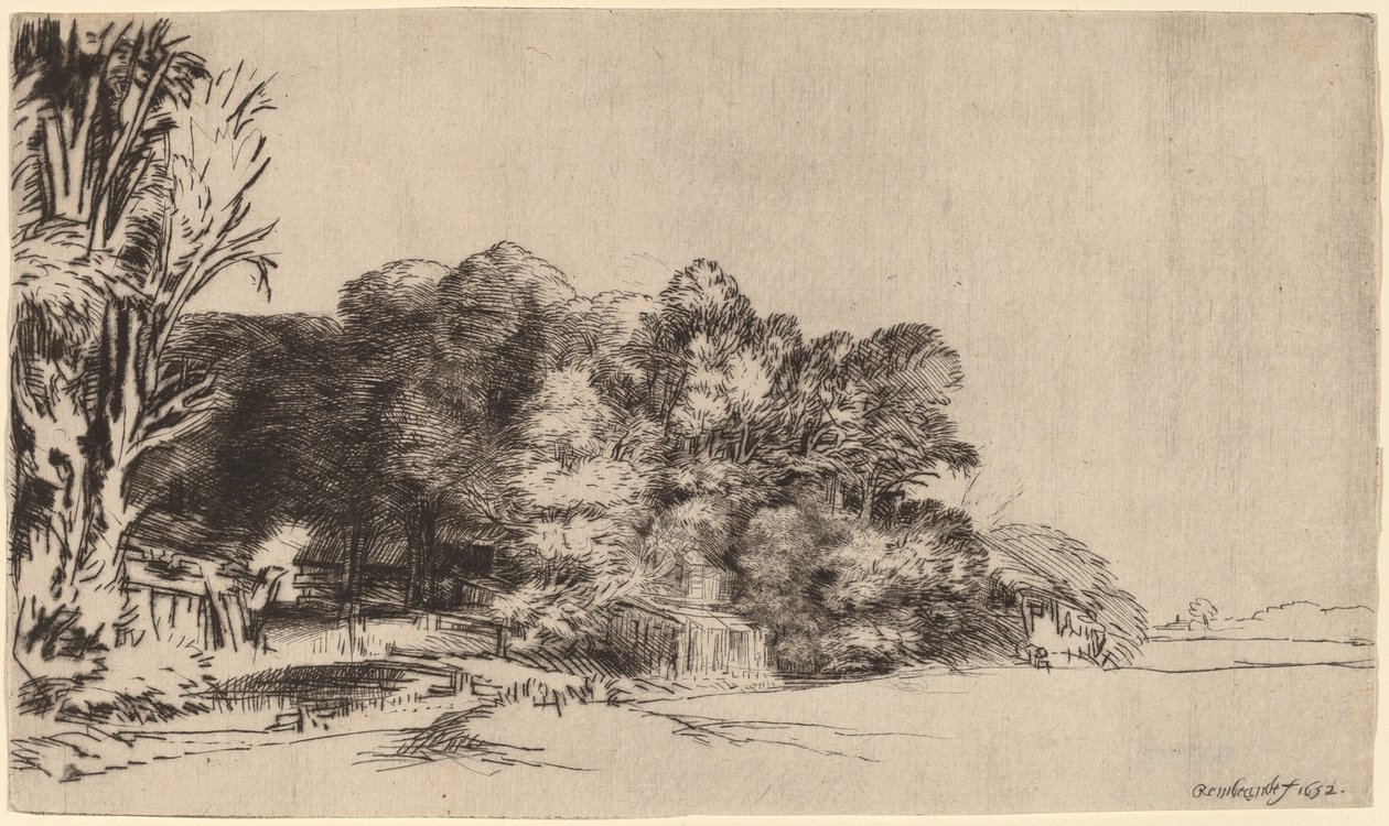 Boomgroep met Uitzicht door Rembrandt van Rijn