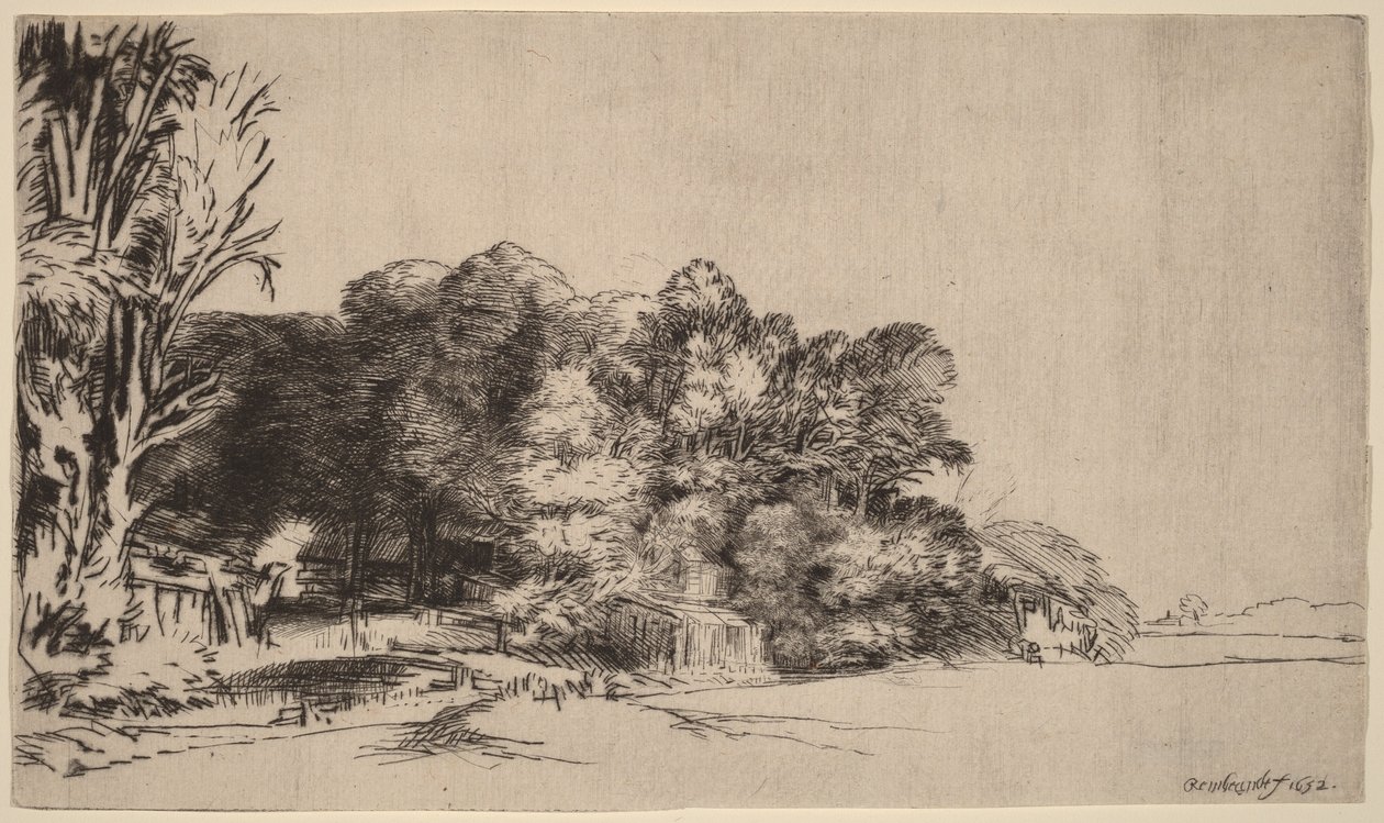 Een groepje bomen met een mooi uitzicht door Rembrandt van Rijn