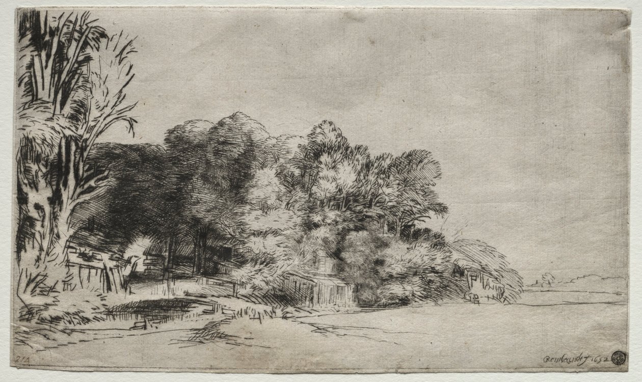 Boomgroep met een doorkijk, 1652 door Rembrandt van Rijn