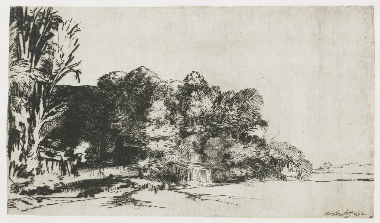 Boomgroep met uitzicht door Rembrandt van Rijn