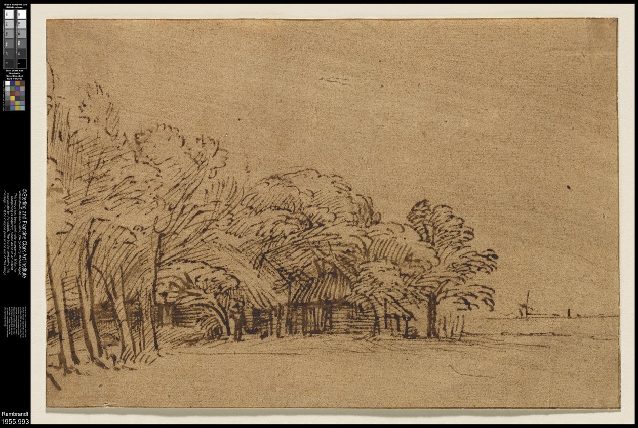 Boerderij onder bomen door Rembrandt van Rijn