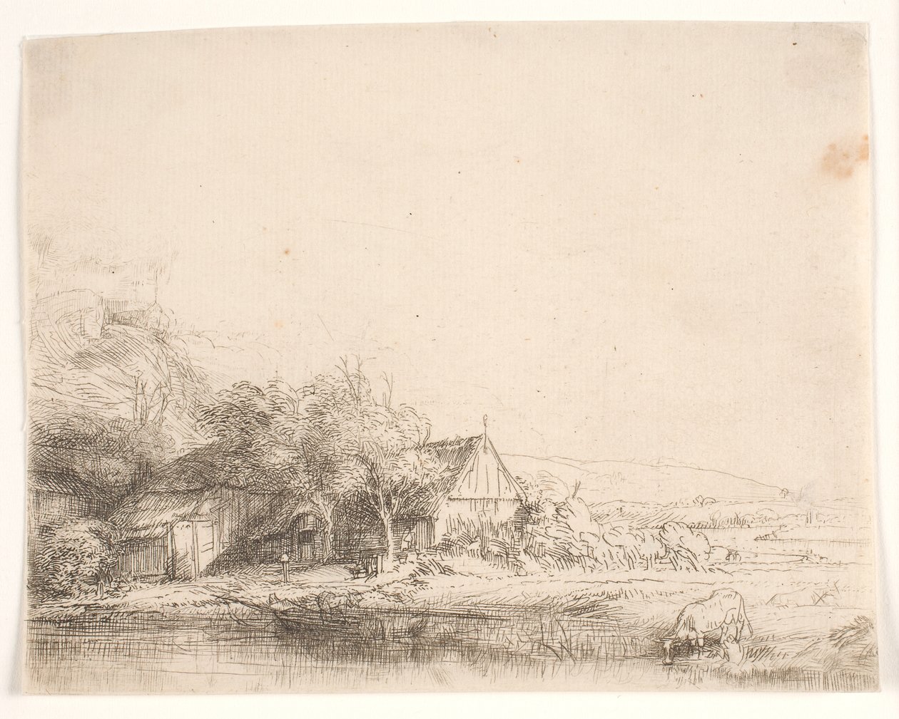 Landschap met een drinkende koe door Rembrandt van Rijn