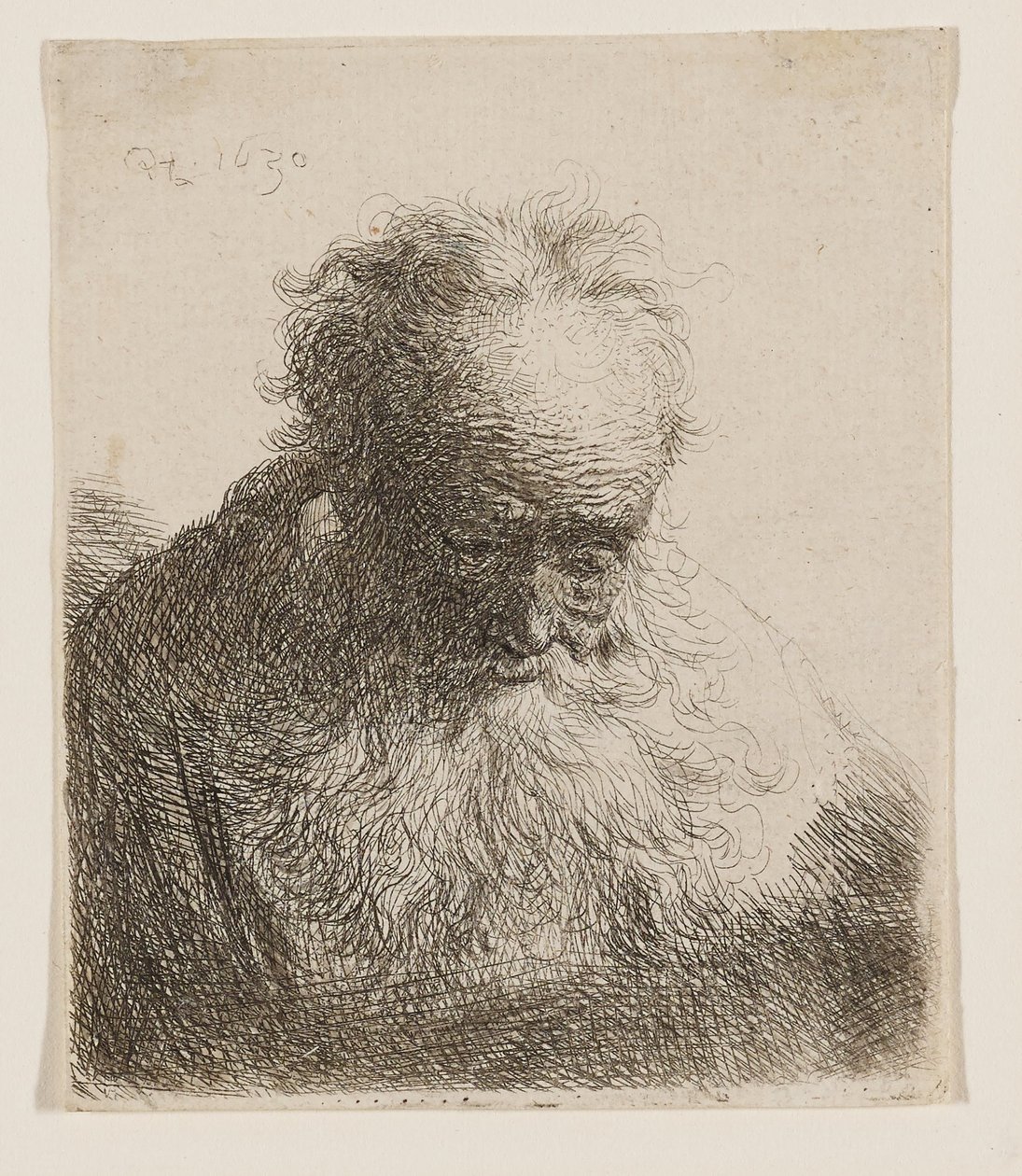 Oude man met een golvende baard (hoofd naar voren gebogen, linkerschouder niet gearceerd) door Rembrandt van Rijn
