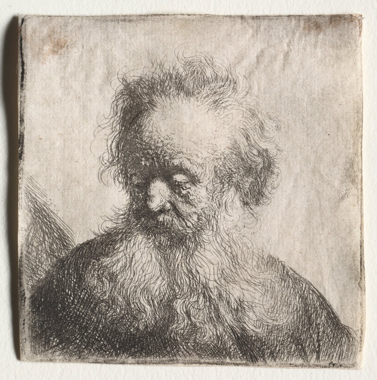 Oude man met een vloeiende baard: Buste, 1631 door Rembrandt van Rijn