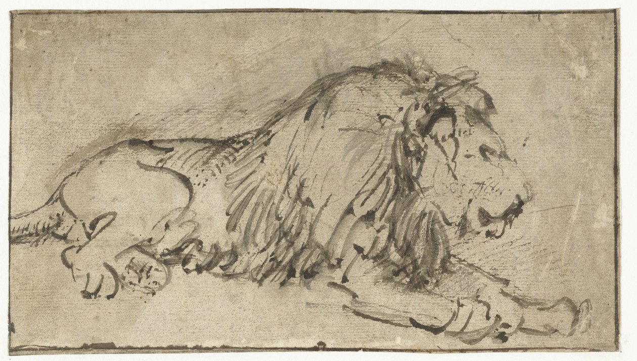 Liggende leeuw door Rembrandt van Rijn