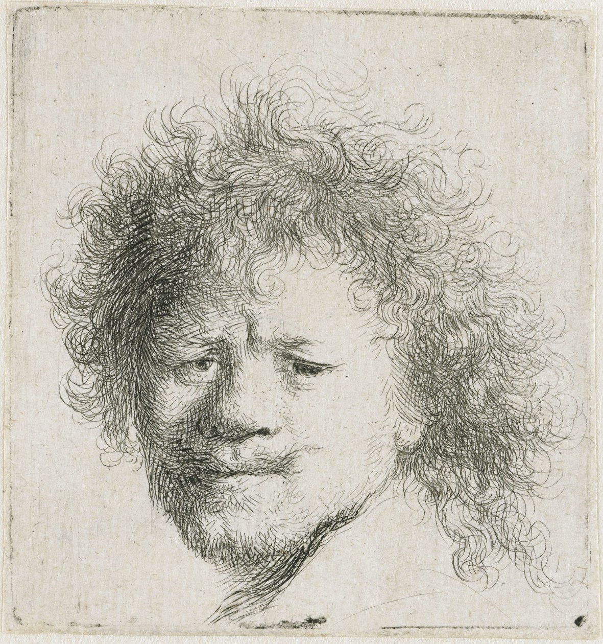 Zelfportret met lang, weelderig haar: alleen het hoofd door Rembrandt van Rijn
