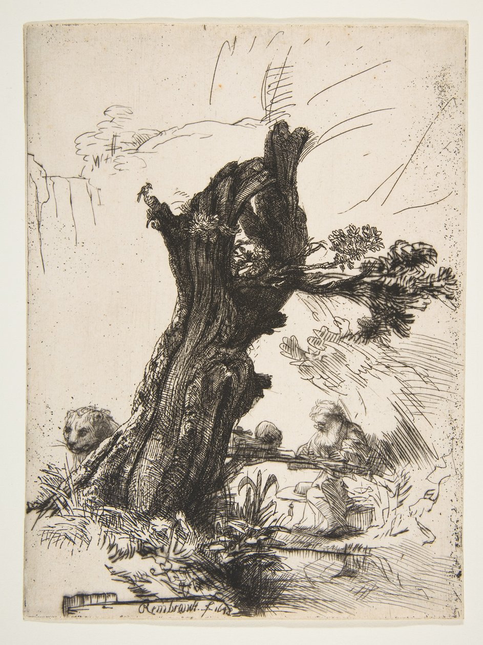 Sint Hiëronymus naast een geknotte wilg, 1648 door Rembrandt van Rijn
