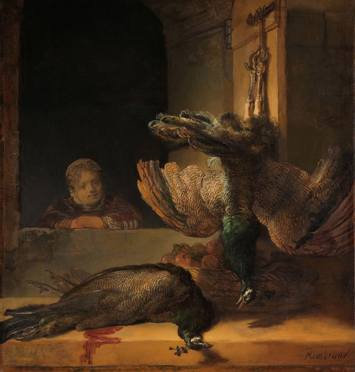 Stilleven met pauwen door Rembrandt van Rijn