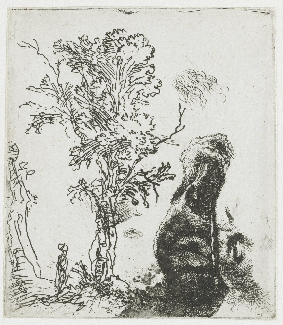 Studieblad met een boom, en het bovenste deel van Rembrandts hoofd met baret door Rembrandt van Rijn