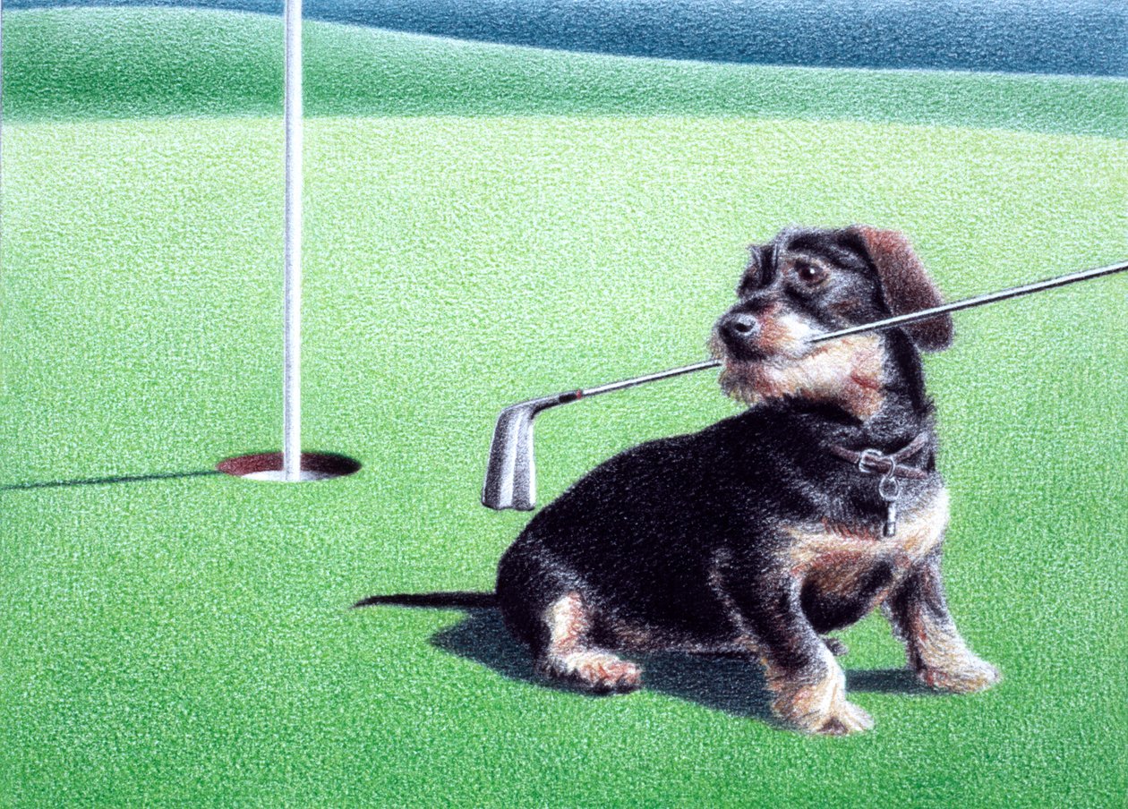 Teckel door Rene Boin