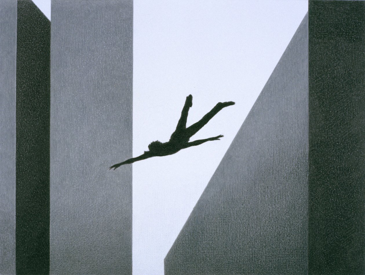 Vliegen door Rene Boin