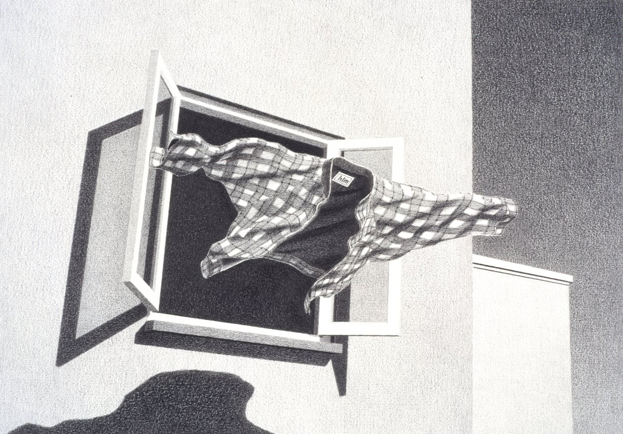 Uit de lucht springen door Rene Boin
